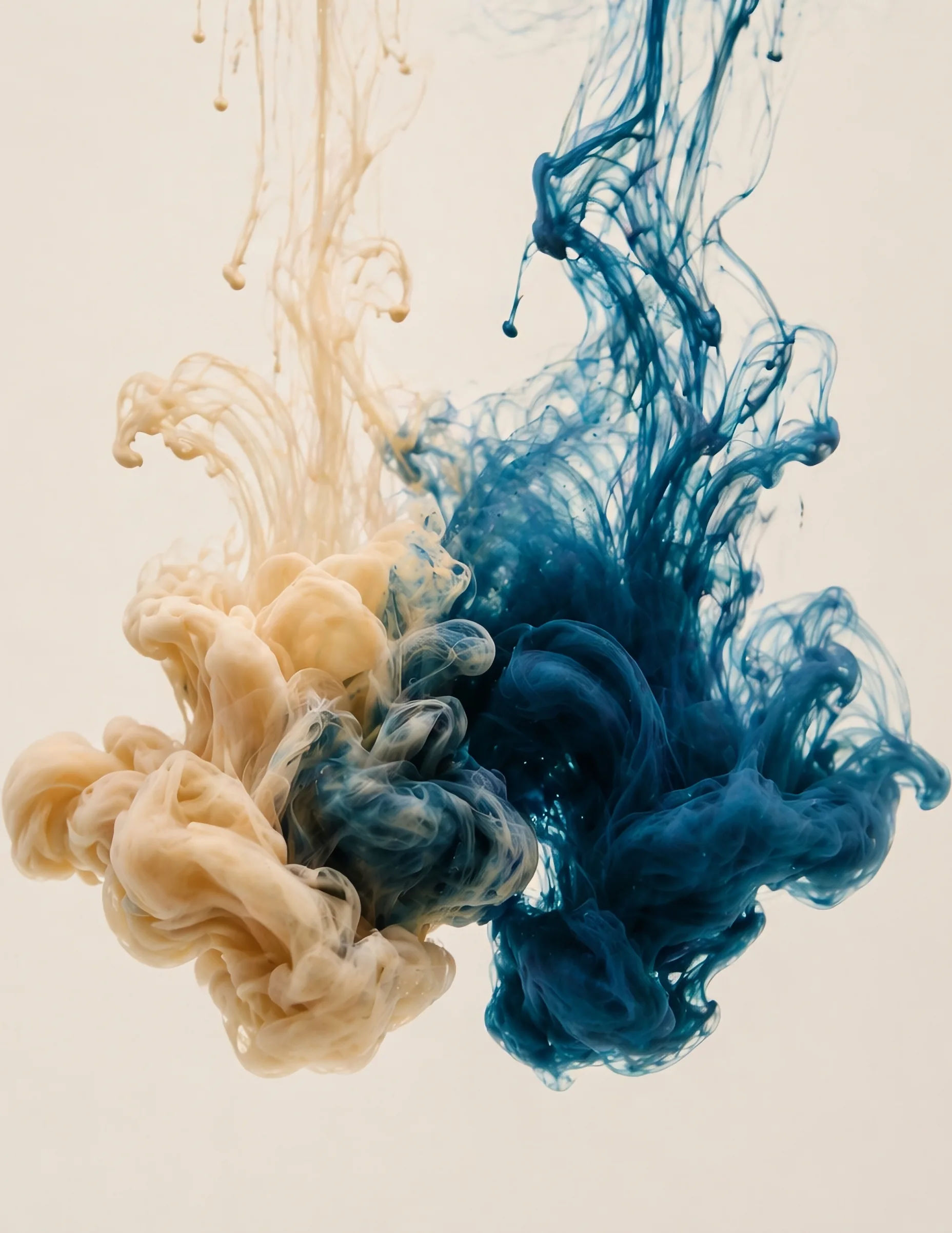 Two inks (one deep teal, one warm clay) meeting as they diffuse through still water, forming a shared third shape where they touch